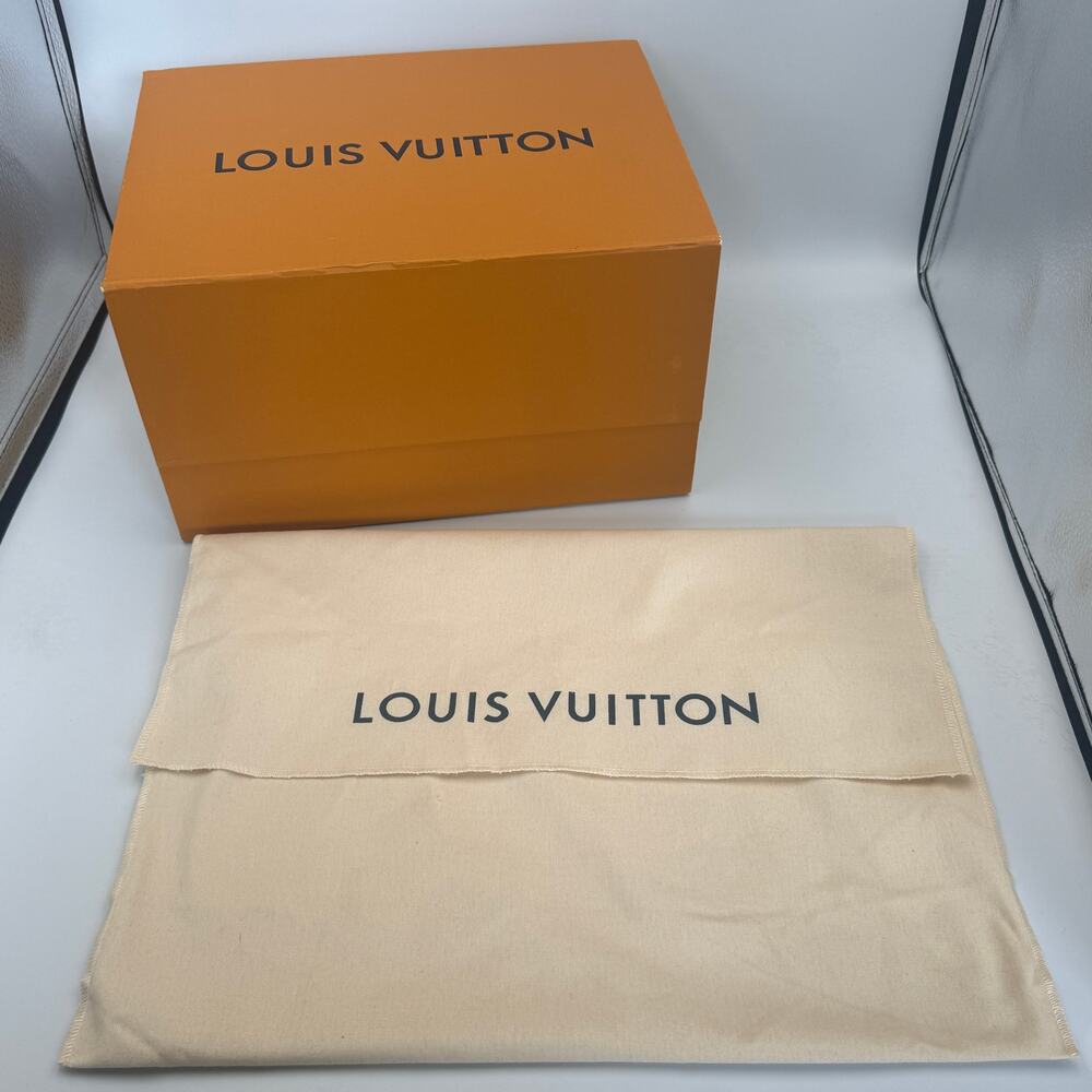 Louis Vuitton Medium Bag Size Storage Box and Dust bag Set